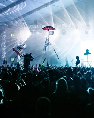 Daft Disko Greensboro