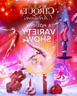 A Magical Cirque Christmas Durham
