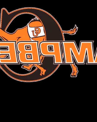 Campbell Fighting Camels Baseball Lillington