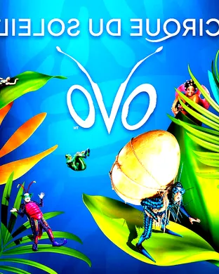 Cirque Du Soleil - Ovo Greensboro