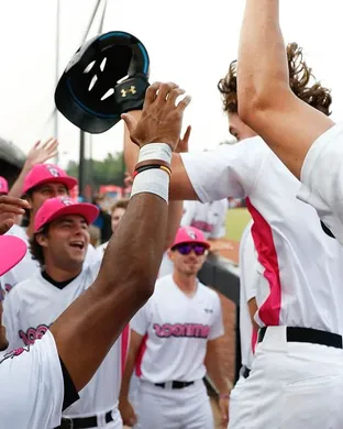 Florence Flamingos Greensboro