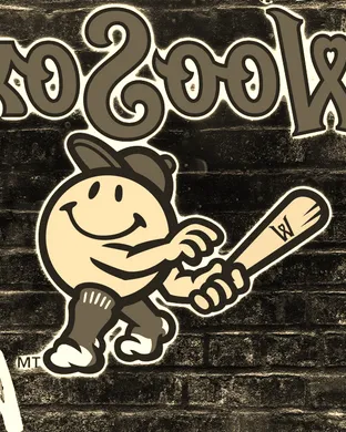 Worcester Red Sox Greensboro