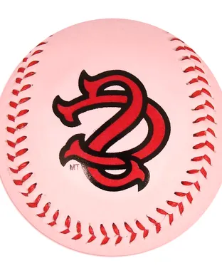 South Carolina Gamecocks Baseball Charlotte