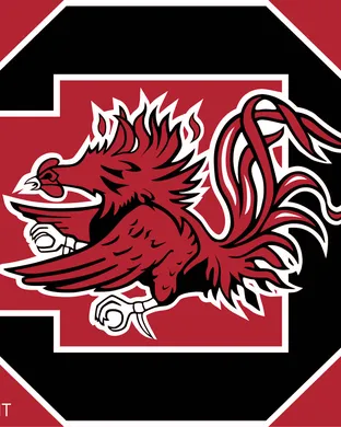 South Carolina Gamecocks Charlotte