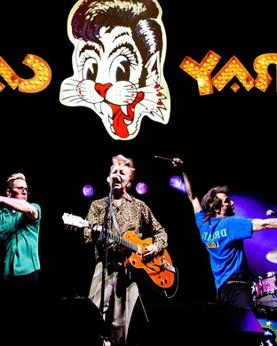 Stray Cats Danville