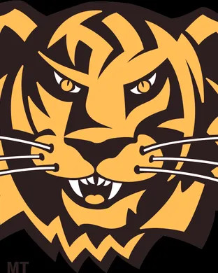 Towson Tigers Football Greensboro
