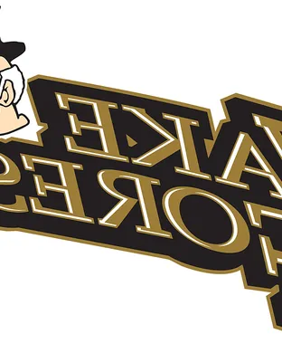 Wake Forest Demon Deacons Winston Salem