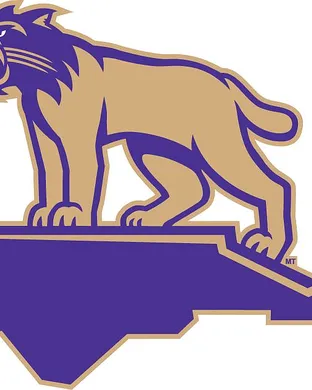 Western Carolina Catamounts Lexington
